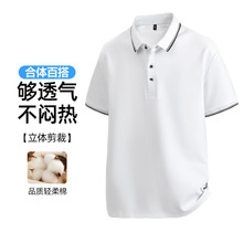 POLO�����ļ��¿ɫ���I���e���s�n���̄�����r�аٴ����T��