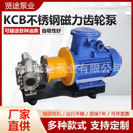 KCB不锈钢磁力齿轮泵 304材质保温磁力泵 KCB型卧式齿轮油泵