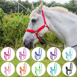 宠物项圈;狗狗牵引;马术用品