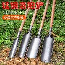 洛阳铲正宗挖土农用打洞取土挖洞挖坑神器种树栽树打孔器打眼工具