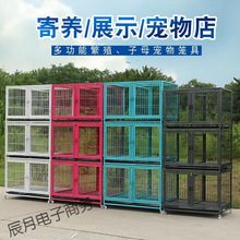 ���\������ȮС��Ȯ�Ӵ֌���\�������B������������ĸ�\���ӻ\