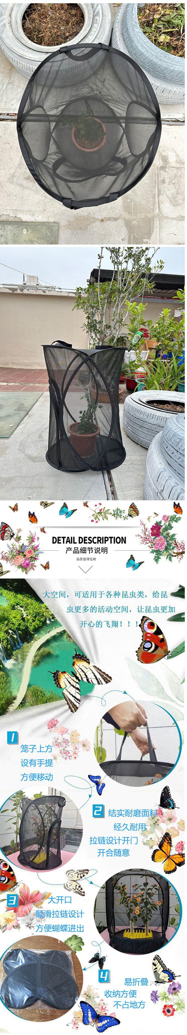 新蝴蝶笼黑6