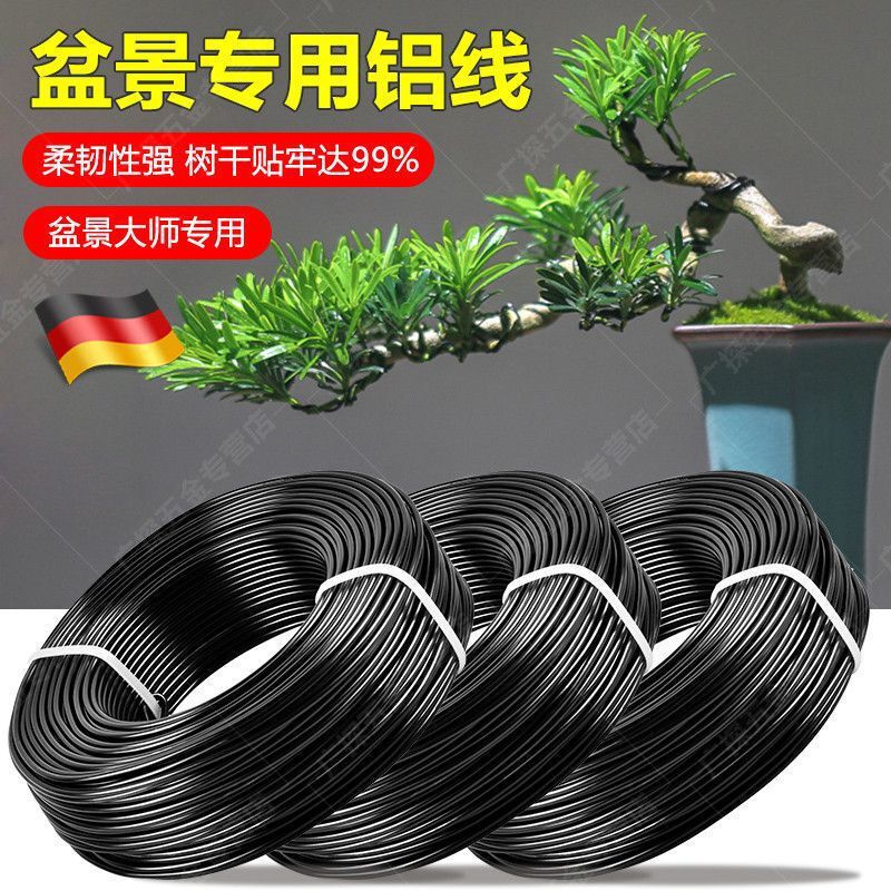 Aluminum Wire and Aluminum Strips for Bonsai Shaping, Used for Styling Arborvitae, Gardening Flowers and Plants, Black Aluminum Strips and Wire Tools