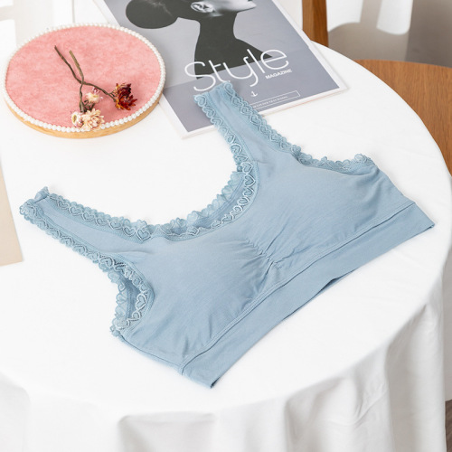 Modesty Sports Bra with Removable Padded Straps, No Underwire, Large Cup, Comfortable Training Bra for Women - Chuli Poetry