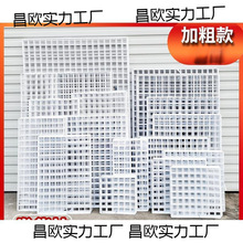 �WƬ�W���F�z�W���В�W؛�ܰ�ɫ�F�Wչʾ�ܸ��ӾW��Ƭ�젝�����