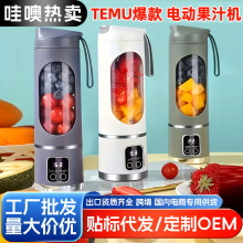 哇喔TEMU榨汁机家用小型便携式电动打炸果汁机果汁杯多功能水果