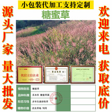 ���ǲݷN�ӾW�t�^�p�����̨�������۲��ļ����N�׻������ݷN��