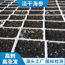 海参;水产礼盒类