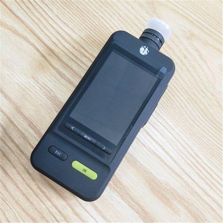 现货路博环保LB-KY4X智能型VOC气体检测仪泵吸式检测仪