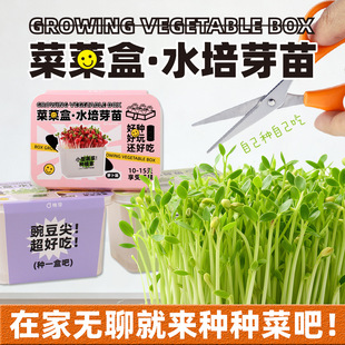 ����W���Nֲˮ��ֲ�����԰lѿ�烺ͯ�^���߲����L��ˮ�B�o������