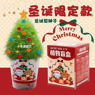 �GֲС����С�W���}�Q�Y��diy�Nֲ����ֲ��ä�зN�����L��������