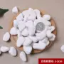 铺路天然多肉园林鹅卵石