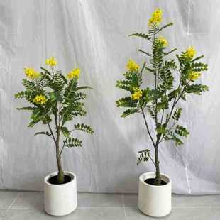 ֲ���S�����b��ͱ��W�پGֲ�҃ȿ͏d������Ԕ[���S����