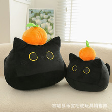 �羳�������؈�乫�����Q�ɐ�ˮ�����Ӻ�؈ë�q�����żץ�C����