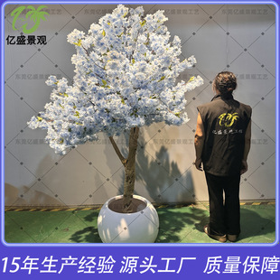 ����ѻ���S�����l���^�^�p�c�ѻ���WУͥԺ���̌�ľ�ѻ���
