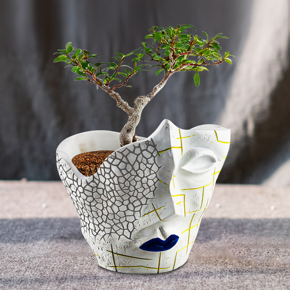  New Creative Face Crack Abstract Flower Pot Resin Craft Plant Potted Container Home Gardening Ornaments