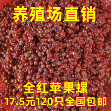 ȫ�t�O�����^�p�ݴ�̖�������S���ݹ��^�~�^�p�����w����坍���]