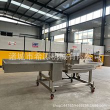 ɽǙC ͓Q Aӱ ǝ{C s