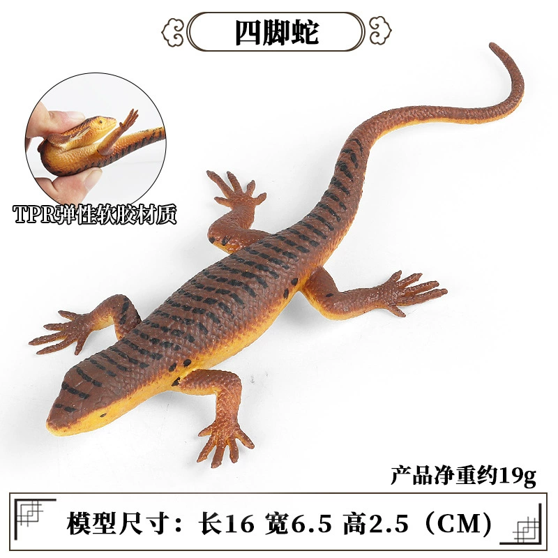 Cognitive realistic marine animal model, dinosaur, toy