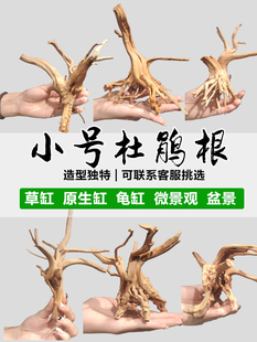 ��ľ����ľ���N�������~���쾰��Ȼ�����̨�[��ˮ���b��ľ�^