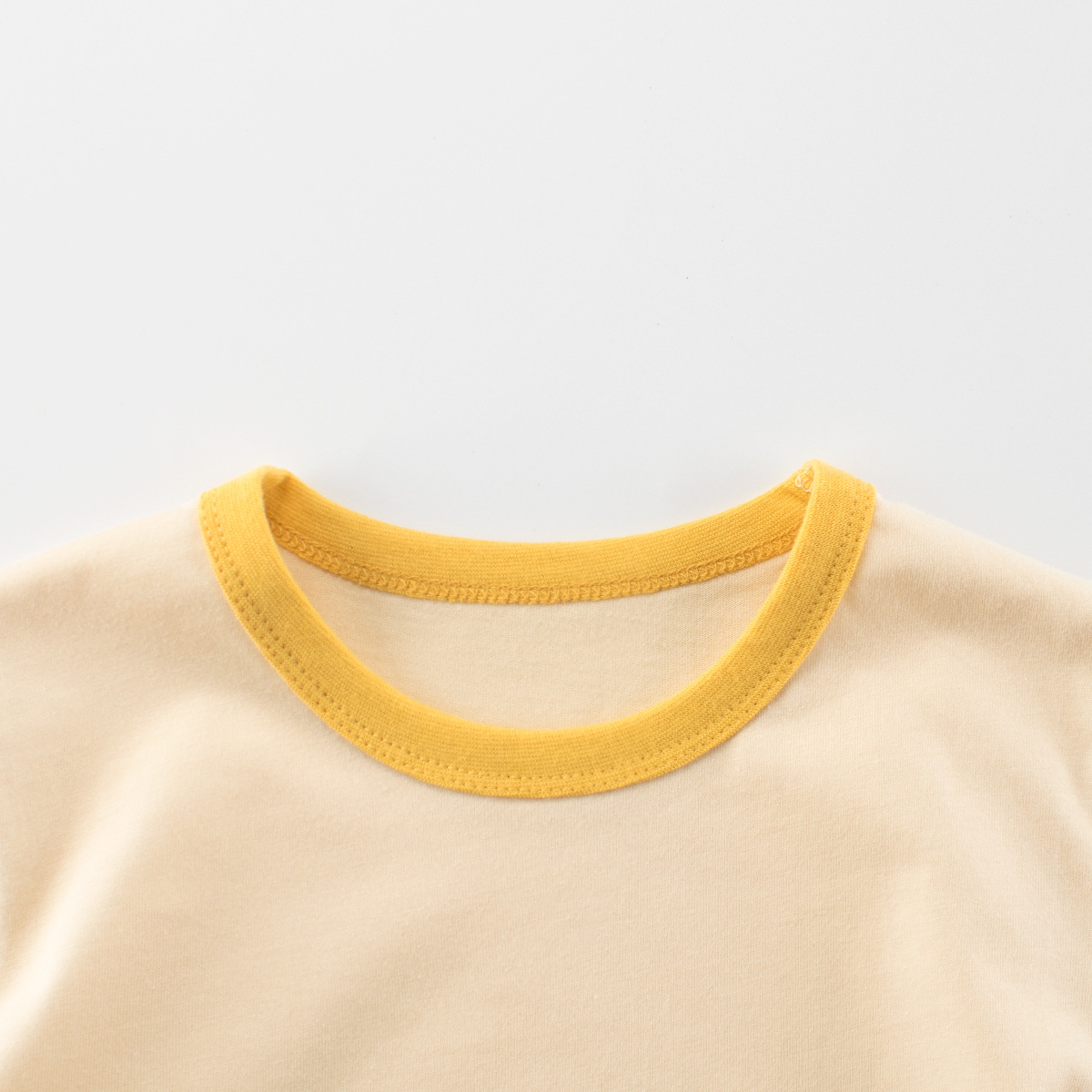 2025 verano nuevo estilo ropa para niños europeos y americanos camiseta de manga corta para niños dibujos animados de dinosaurios para niños ropa para bebés fuente de Douyin