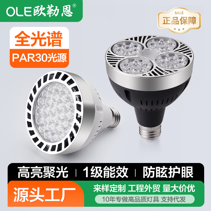 Led Spotlight Bulb Cob Track Light Source for Commercial Use in Clothing Stores Par30 Background Track Light E27 Screw Base Led Spotlight Bulb Cob Track Light Source for Commercial Use in Clothing Stores Par30 Background Track Light E27 Screw Base