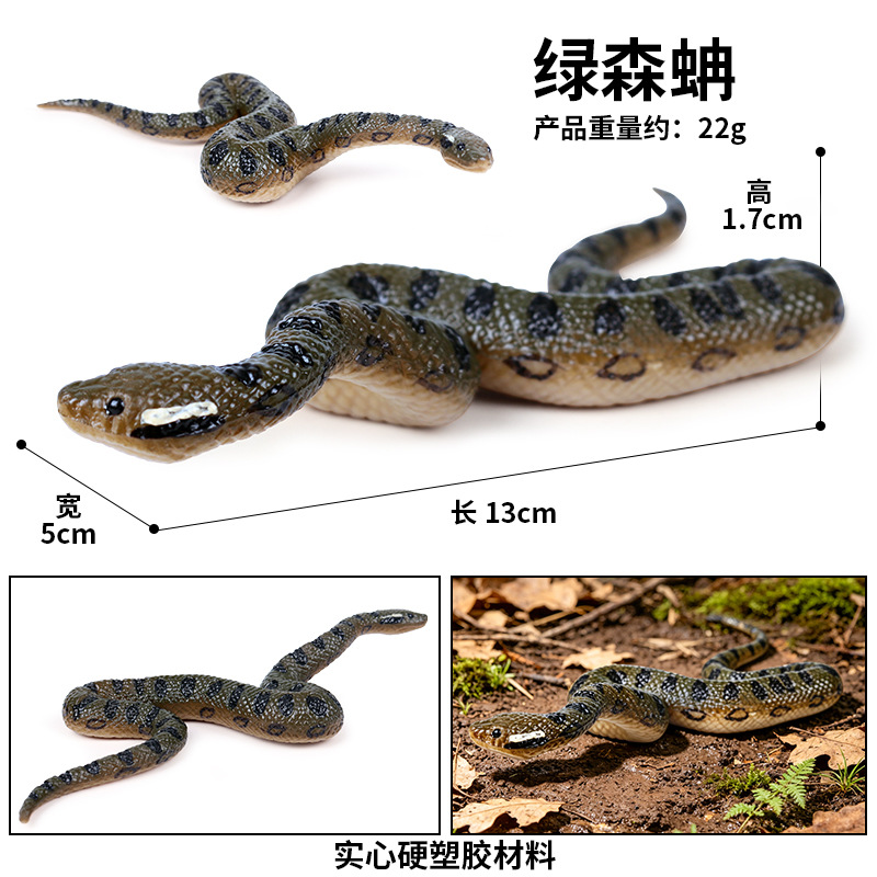 681 Anaconda verde