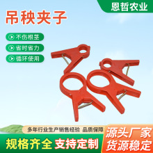 ����A�����S�����t���A�����r���߲ˊA�ӵ�����ͥ�@ˇ���b����