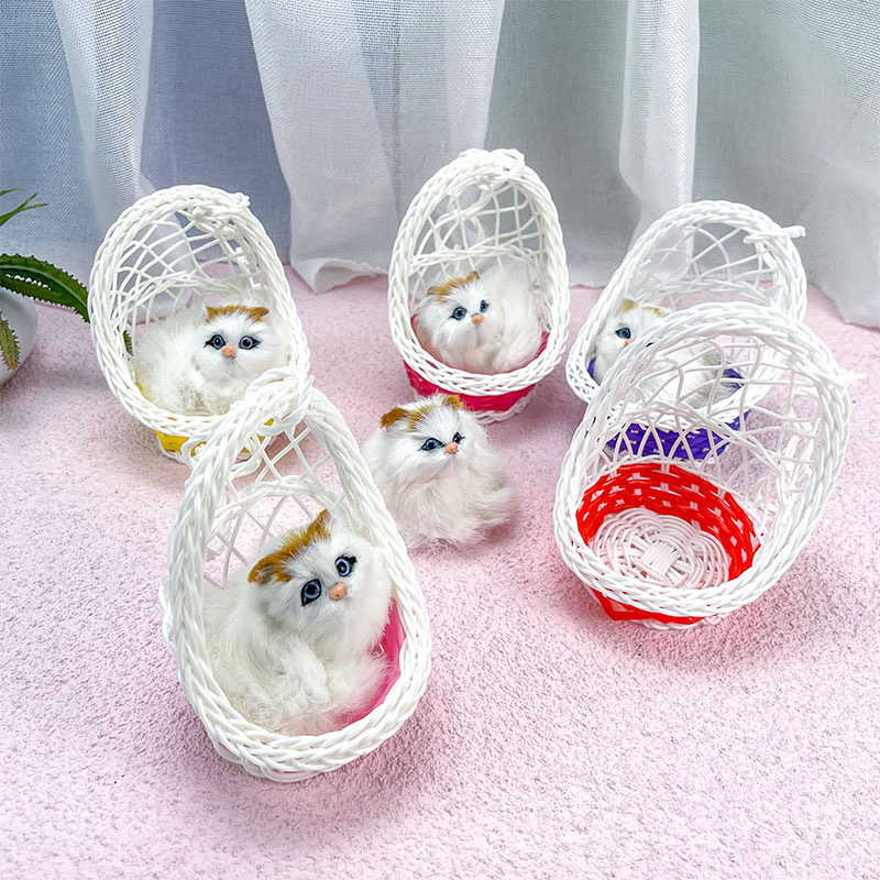 오래 된 바구니 고양이