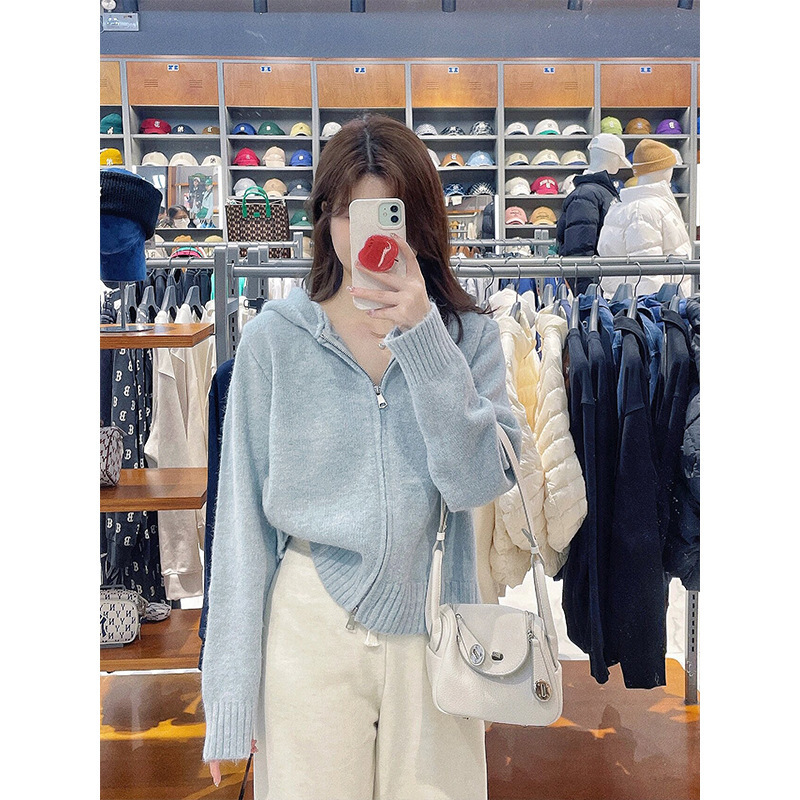 Blue Hooded Knitted Cardigan for Women, Spring and Autumn French-Style Soft Sweater Coat, Loose Short Top, Light Blue Cardigan