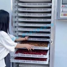 小型烘干房電加熱食品烘箱農產品蘑菇烘干設備中葯材野生菌烘干機