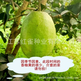 �㙴������خa���rˮ����A�㾉�����ۙ����ӻ���ֱ�l���ָ̬F؛