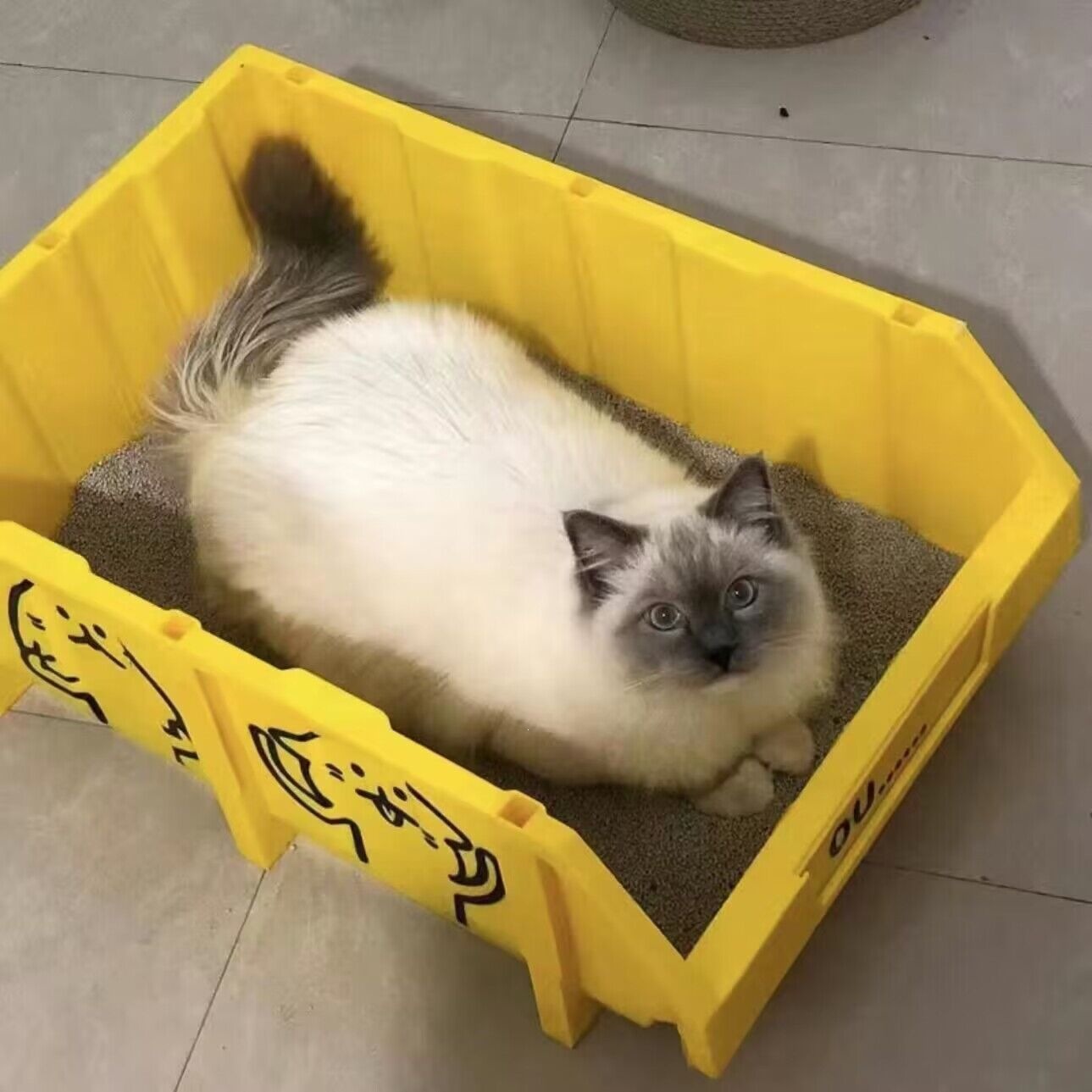 [medium size + stickers + cat shovel] / Default item