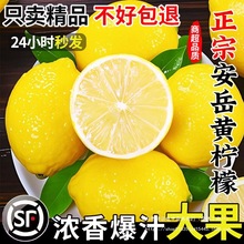 四川安岳黄柠檬新鲜水果皮薄一整箱随机快递香甜青柠檬孕妇补维C