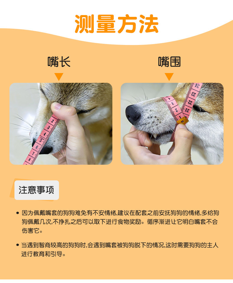 微信图片_20250605212119