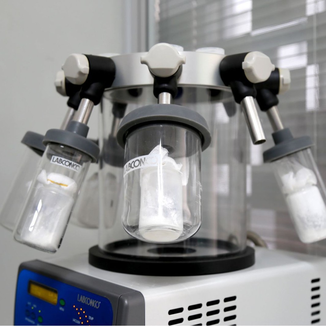 兔多克隆抗体制备服务  抗体制备 多克隆抗体制备服务  技术服务