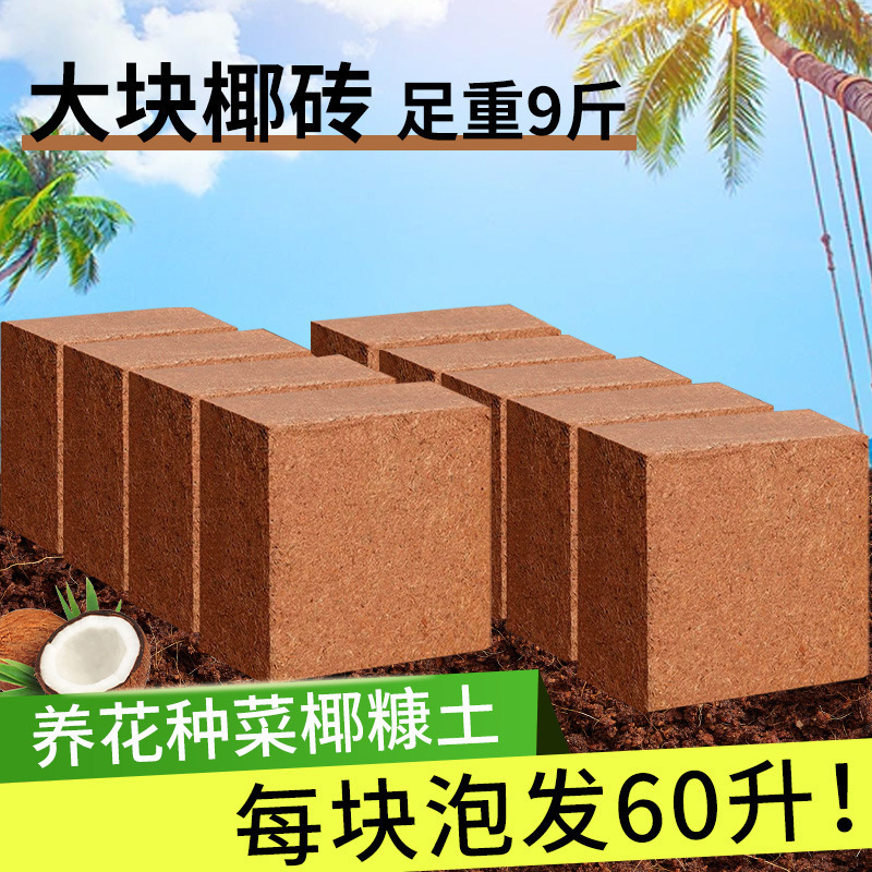 4.5kg 大型ココナッツレンガ、花栽培用栄養土、ココナッツシェル土レンガ、野菜鉢植え、脱塩ココナッツ糠レンガ、その他|undefined