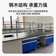 定制钢木实验台学校物理化pp水槽台实验室实验台全木工作台理化板