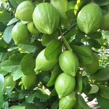 ʮrFժЋDˮֱ̲Ƥִһlˮ