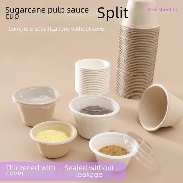 Biodegradable pulp test cup 2 oz bagasse sauce Cup 4 oz ice cream cup disposable sauce box