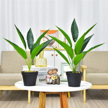 �羳����Gֲ�����~һ���L�����ܛ�bֲ��Ҿ��bG�~�S�����l