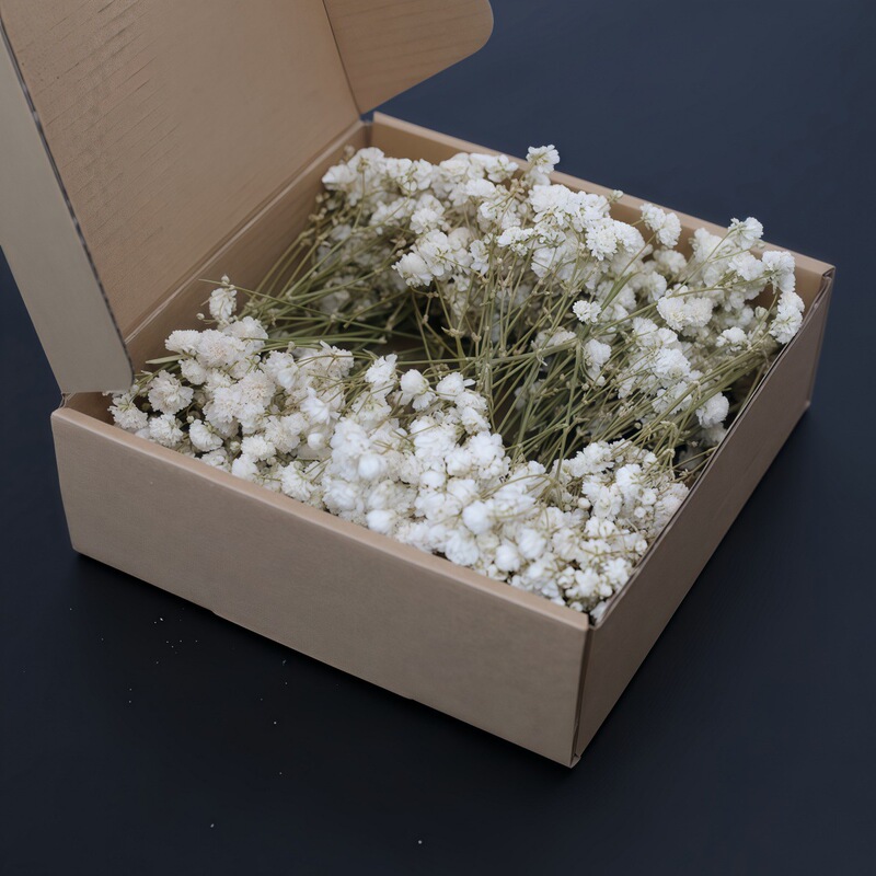 Bulk Green Stem White Baby's Breath Dried Flowers Eternal Flowers DIY Materials Amazon Hot-Selling Supply Direct from Yunnan Manufacturer