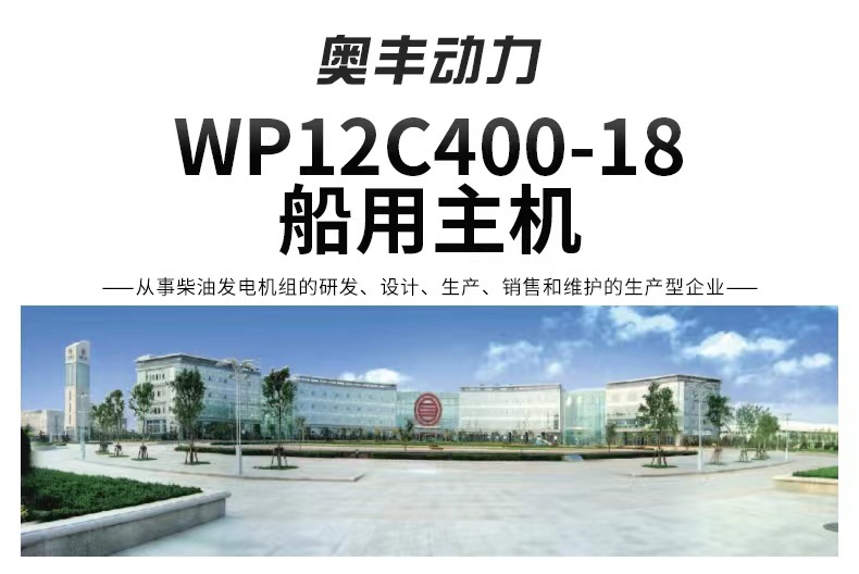 Weifang Huadong 4102 Diesel Engine 4Dhzy4 for Small Loaders and Forklifts