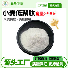小麦低聚肽粉98%食品级活性肽小麦肽粉500da明细备案小麦蛋白现货