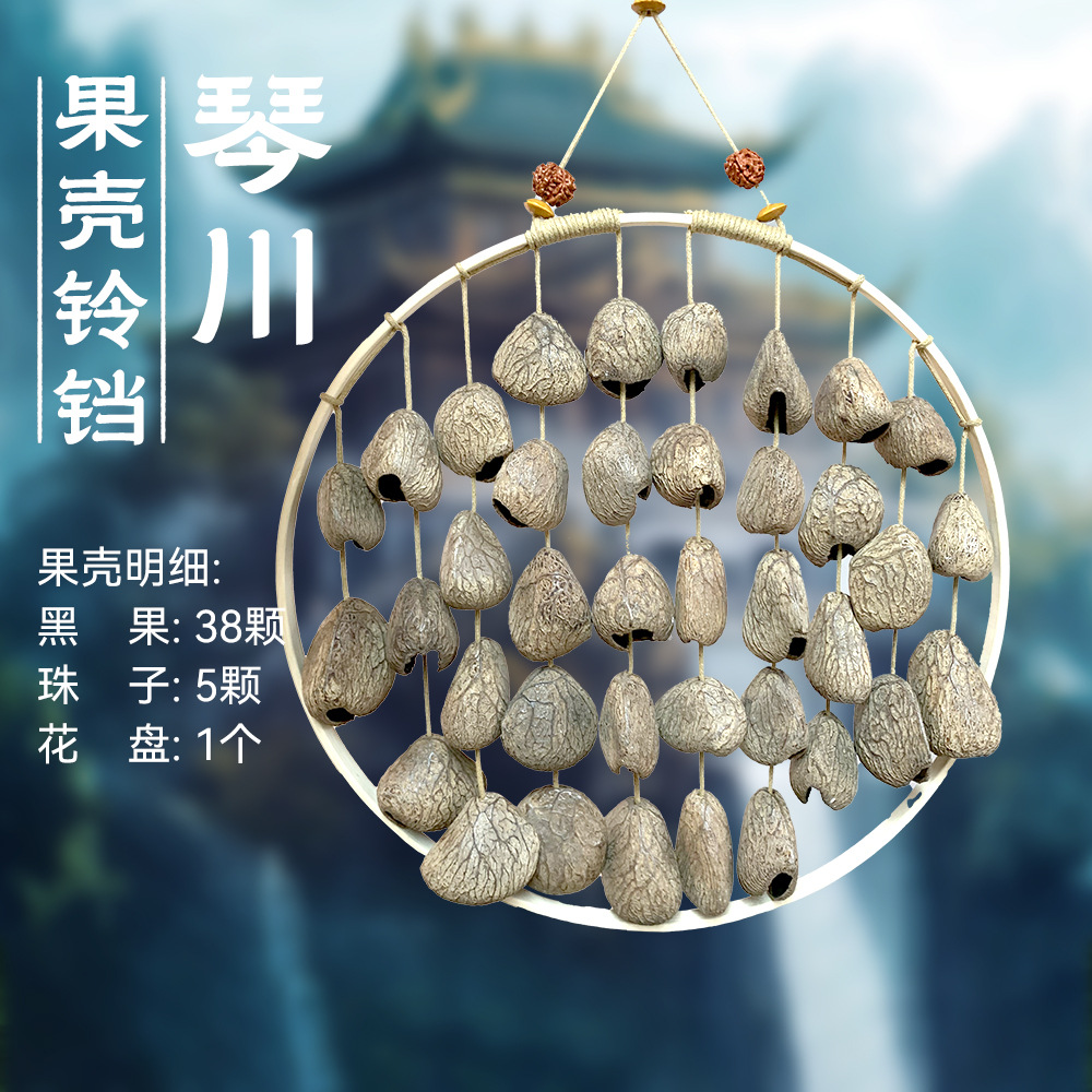 E11-琴川-(5)