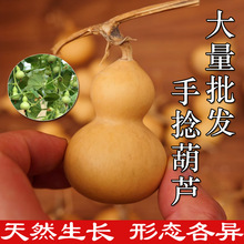 ��Ȼ����С���J��Ʒ������С���J�ְѼ����������^����������J