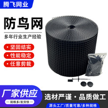 黑色PVC防锈太阳能电池板防鸟网不锈钢夹片J型挂钩黑色锁片防鸟网