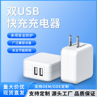 5V2A Taiwan Bsmi Charger Japanese Standard Pse Dual 2Usb Tablet Power Adapter Travel Charger 2.4A