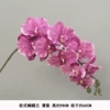 Silk cloth European Phalaenopsis purple