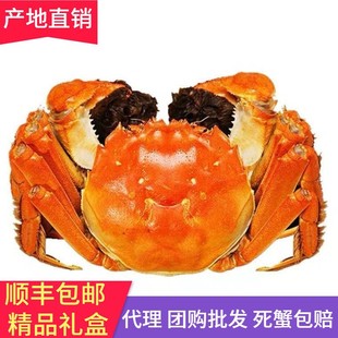 �M�S�F؛���lзȫ��ĸз�ش��з��з���rˮ�a���l�Y���b�Fُ���x